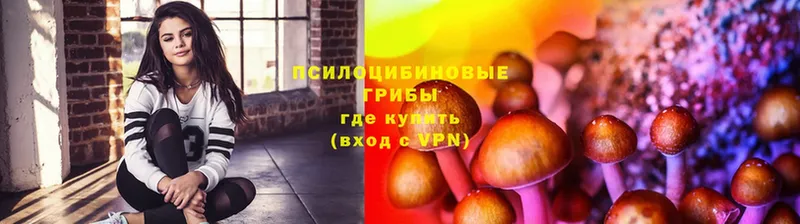 Псилоцибиновые грибы GOLDEN TEACHER  где купить   Куровское 